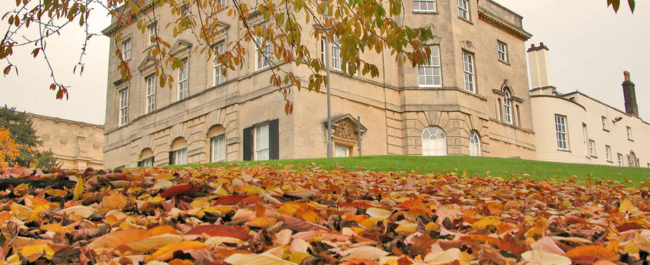 Autumn leaves at Royal Fort Garden